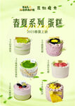 春夏系列美味蛋糕展示