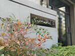 现代建筑外的绿植景观