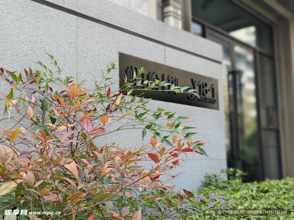 现代建筑外的绿植景观