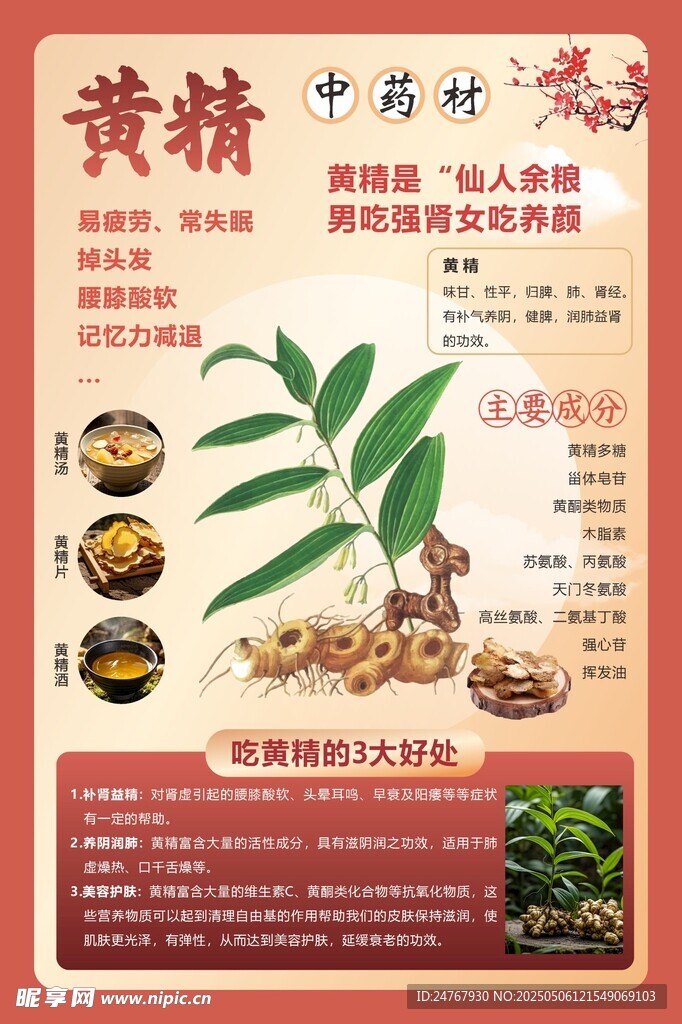 黄精