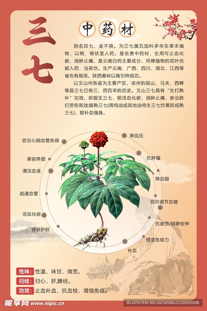 三七