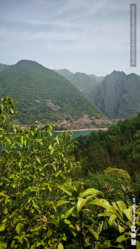 山顶