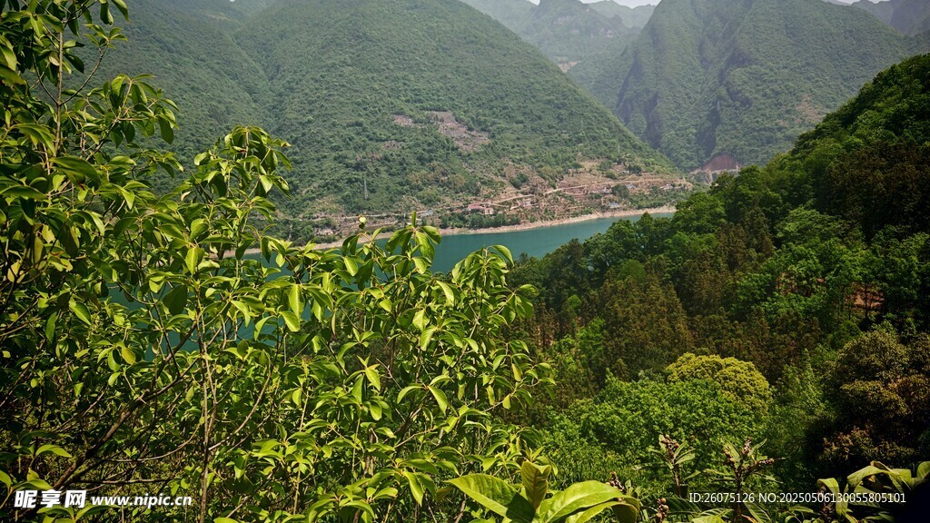 山景