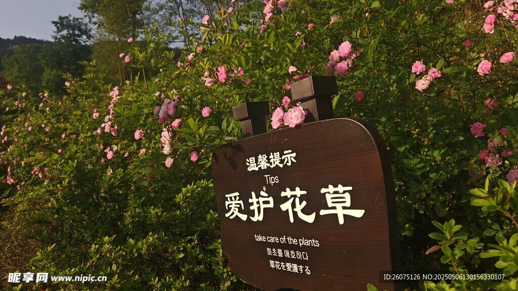 花草牌