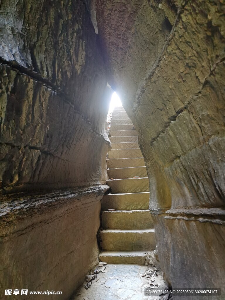 岩石夹缝