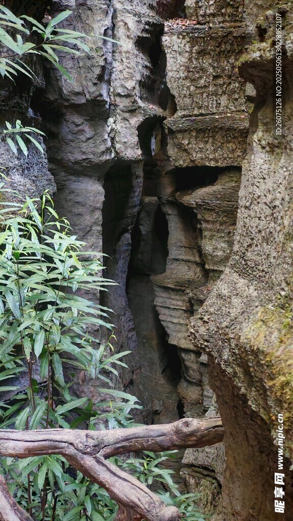 岩缝