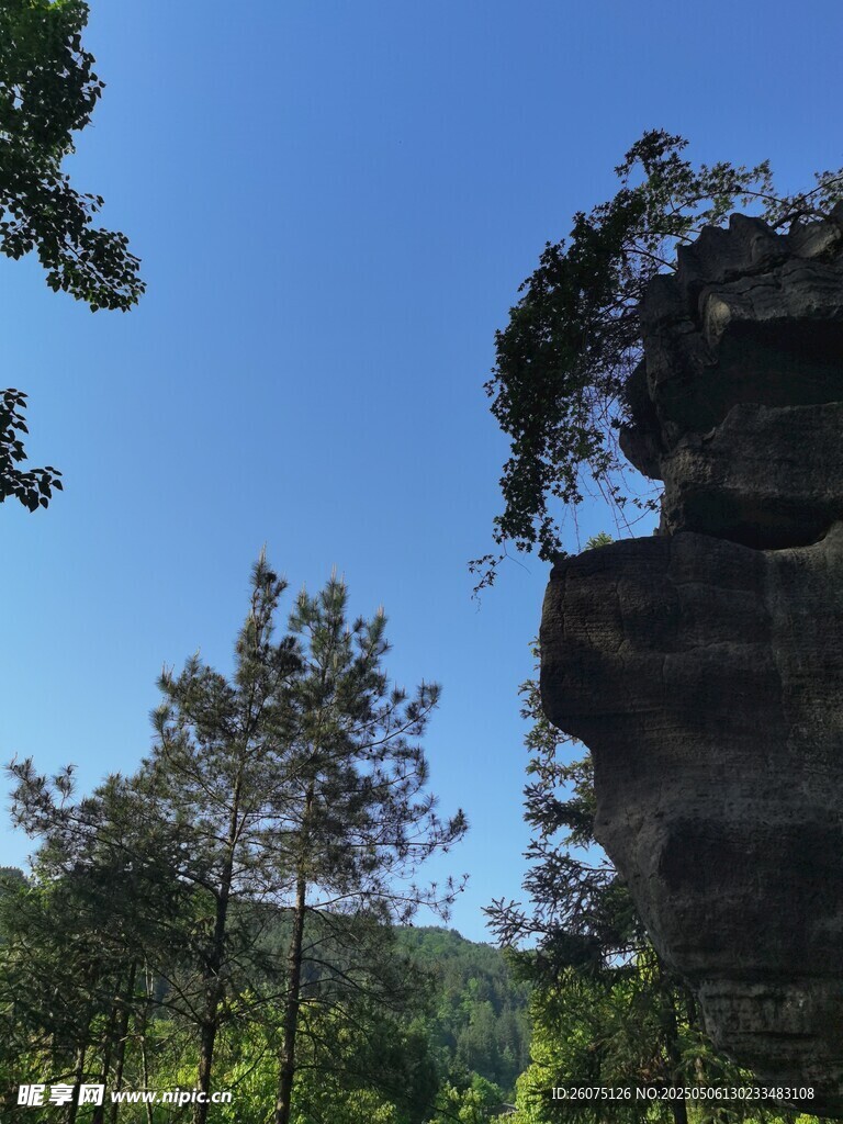 仰拍天空
