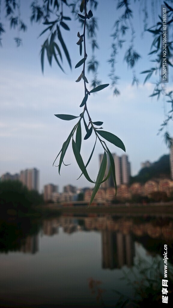 湖畔