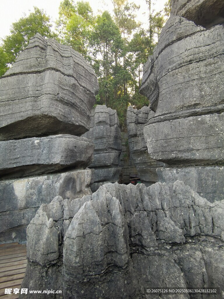 石林