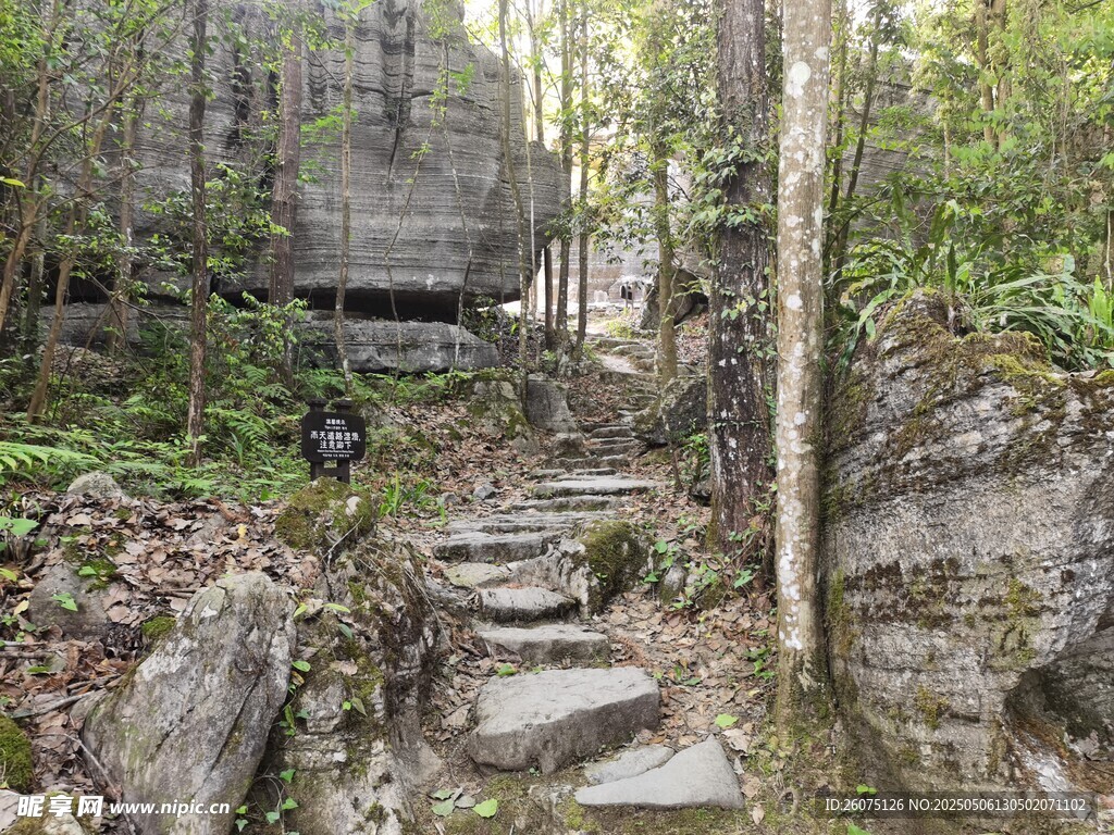 石林