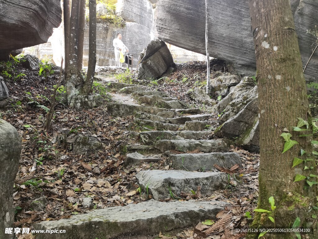 山林石梯