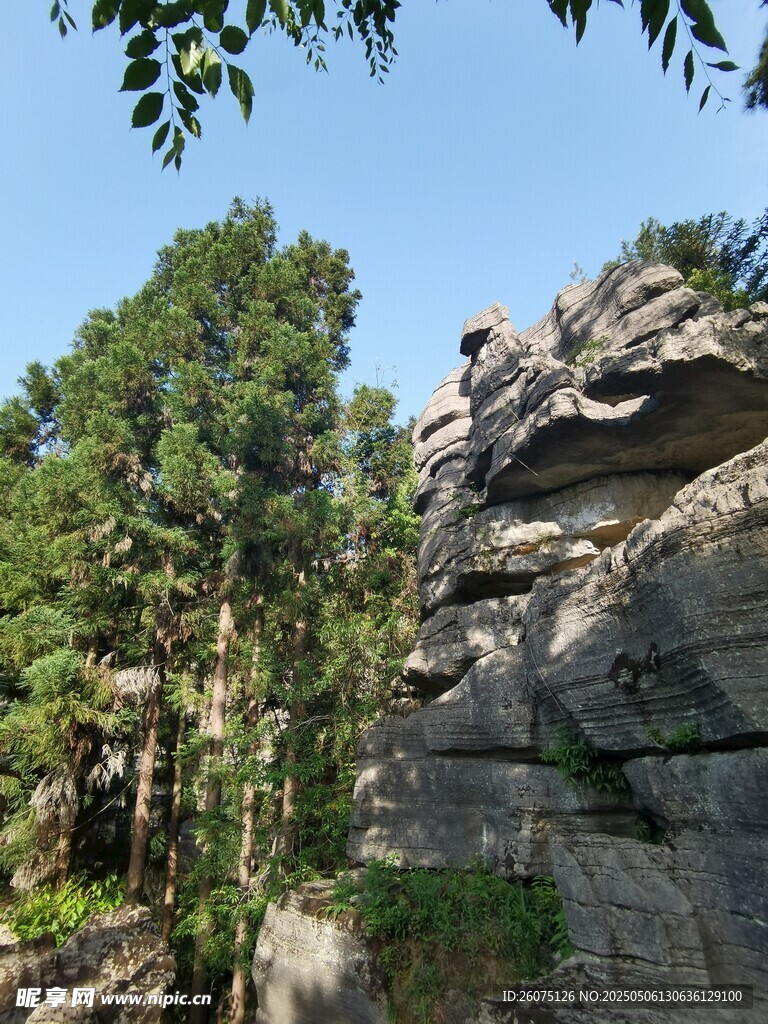岩石