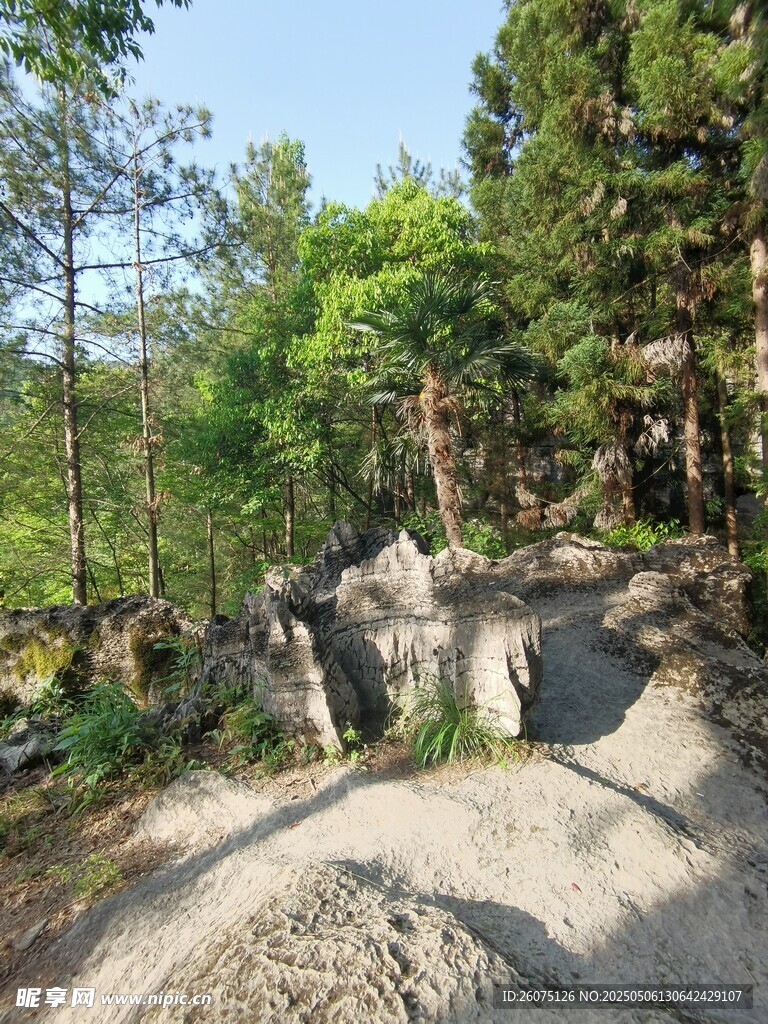 山石