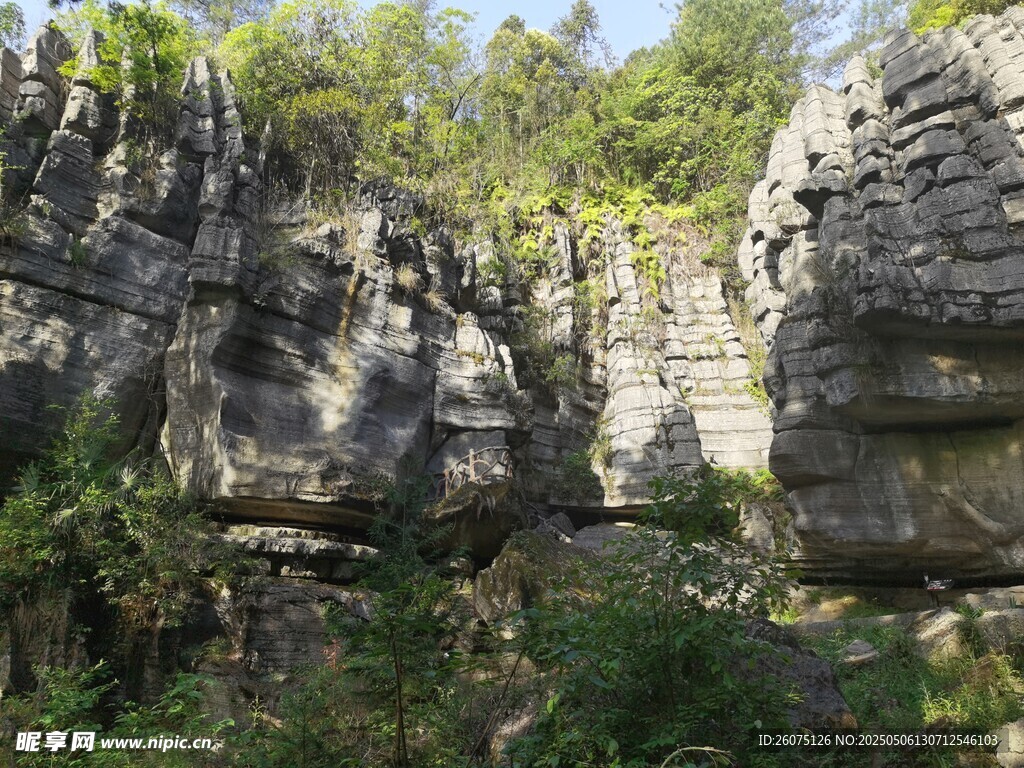 山间石林