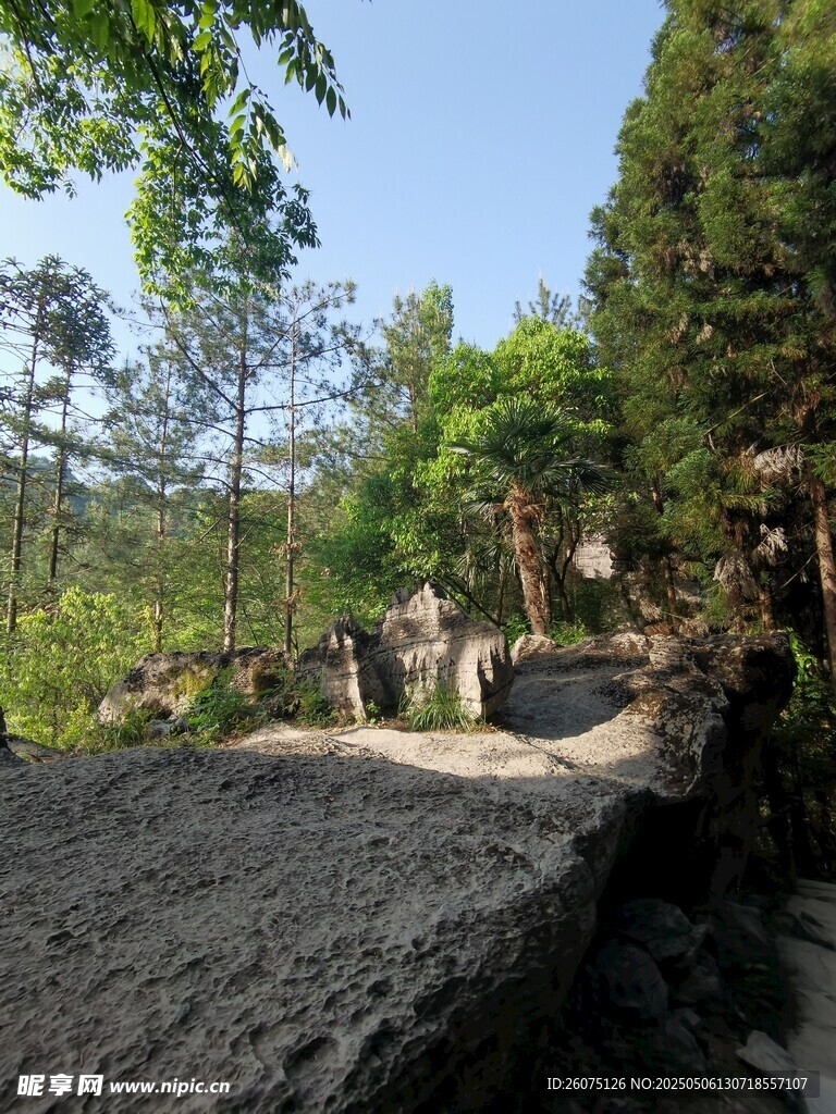  岩石