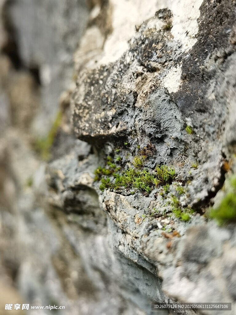 岩石纹理