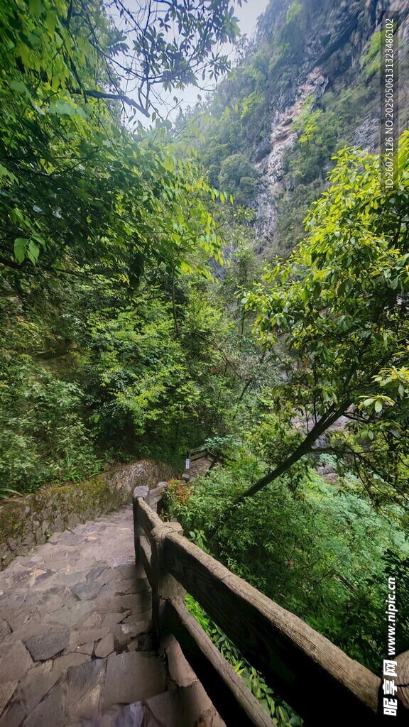 栈道