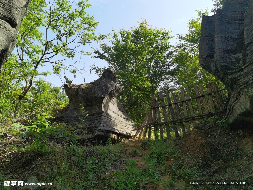 山林石景