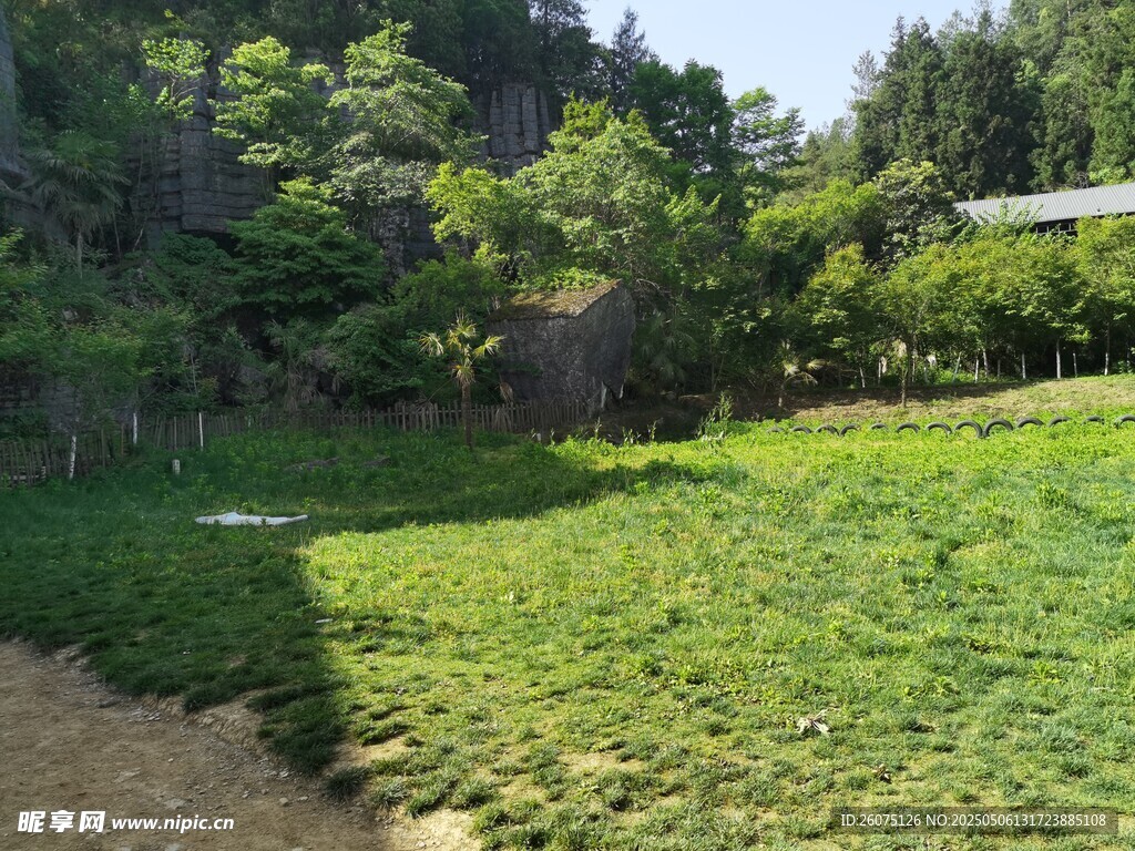 草皮草坪