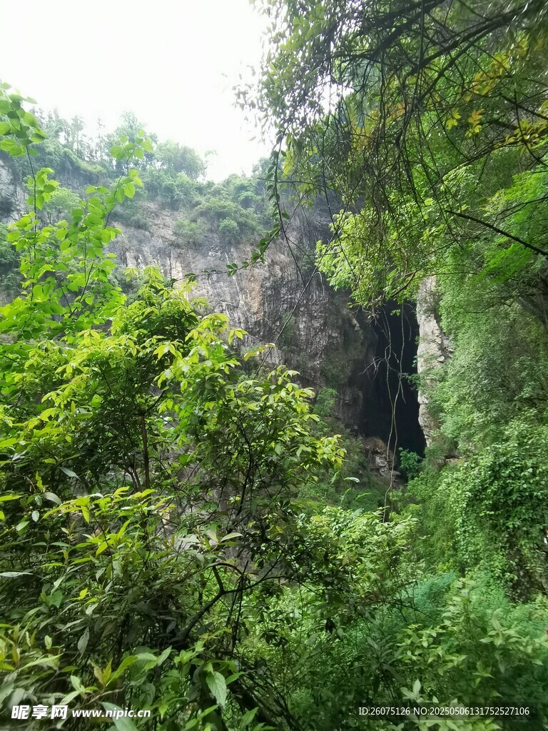 山林