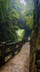 山间栈道