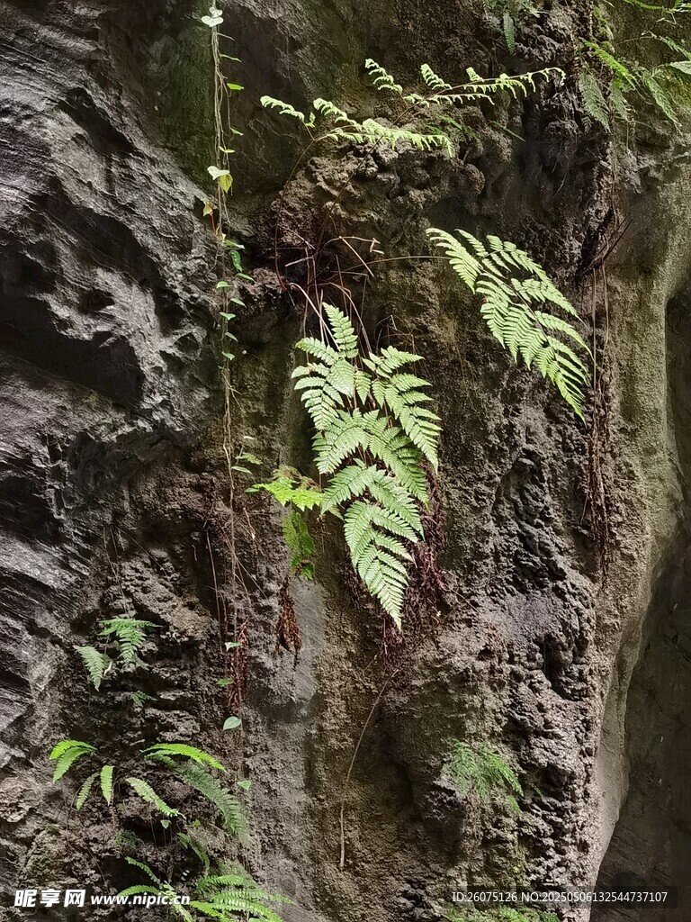 岩壁