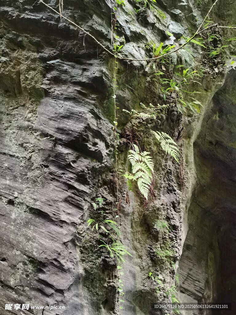 岩壁