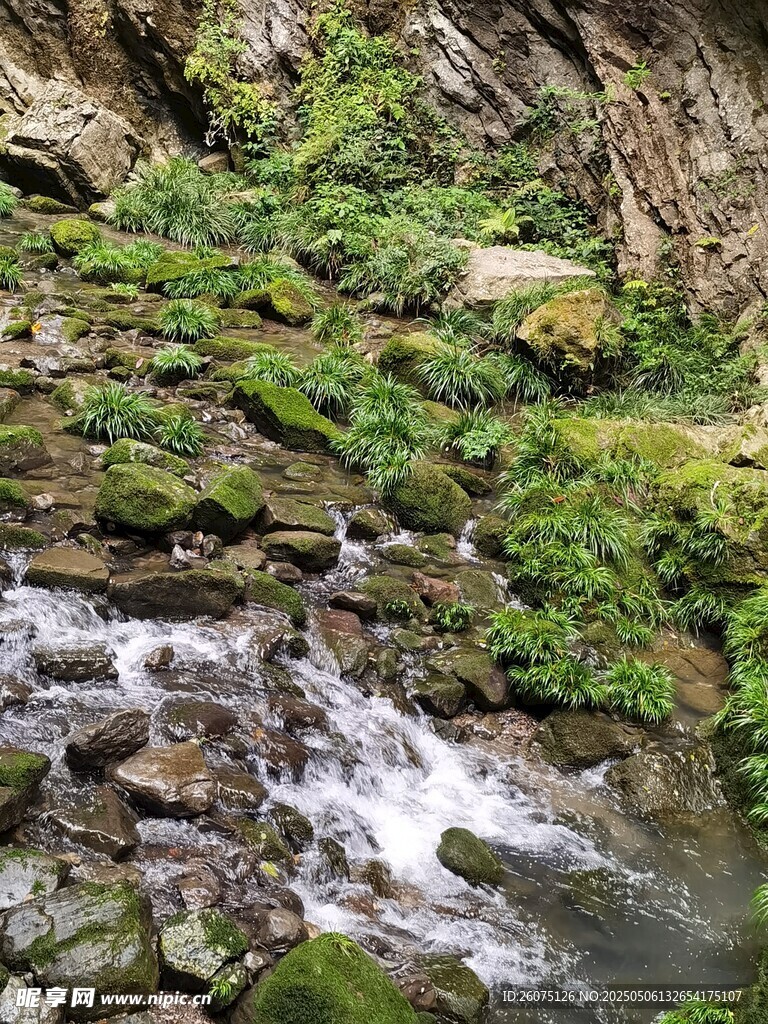 溪流