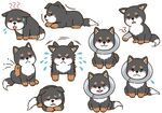 矢量卡通萌犬图片