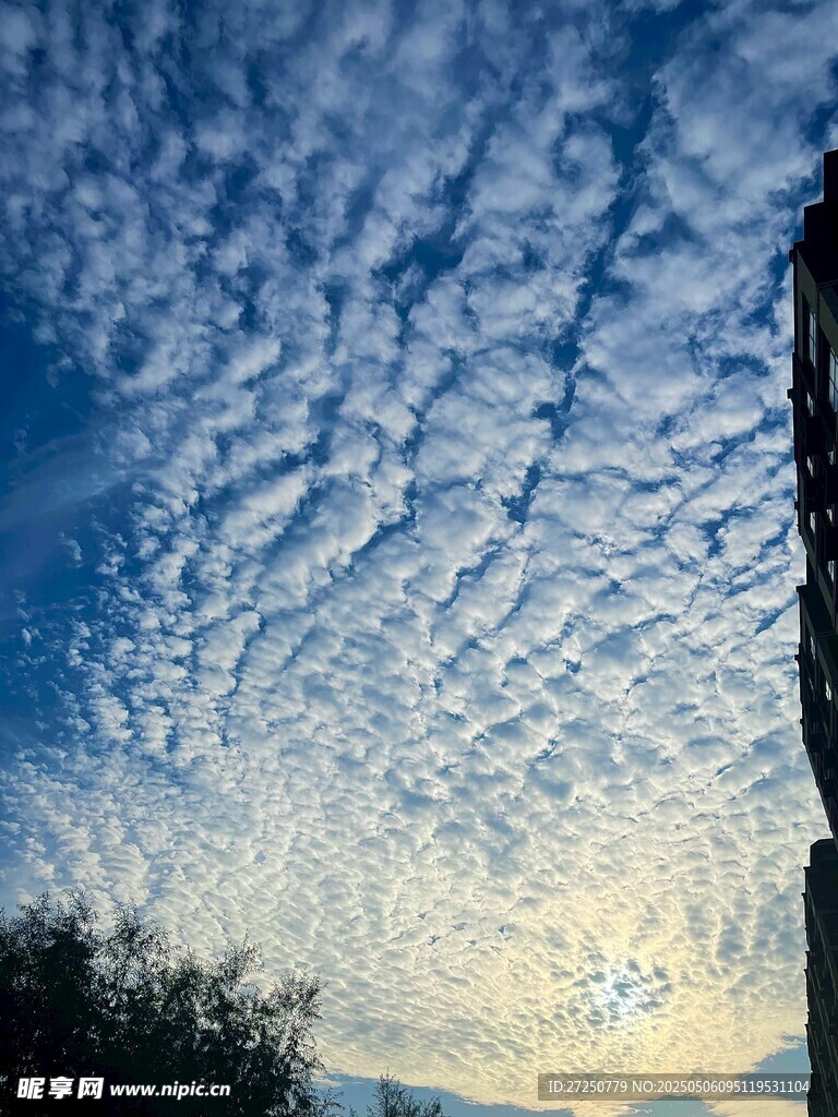 天空中独特的絮状云彩