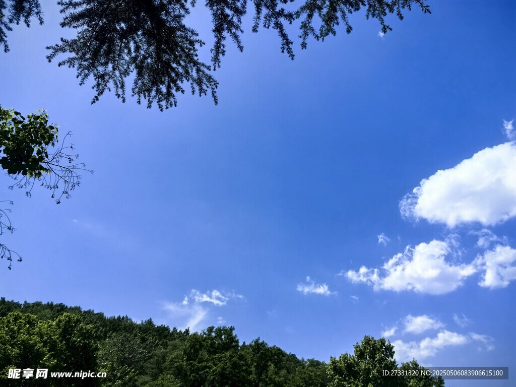 蓝天绿树间的悠然景致
