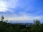 俯瞰城市天际线与绿树