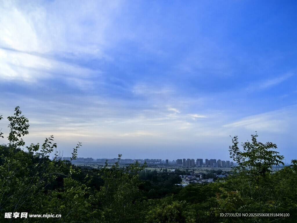 俯瞰城市天际线与绿树