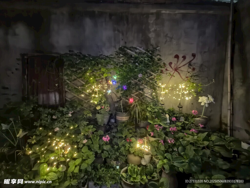 庭院绿植间的梦幻灯光
