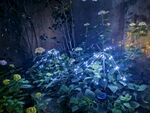 梦幻花园夜景植物灯光秀