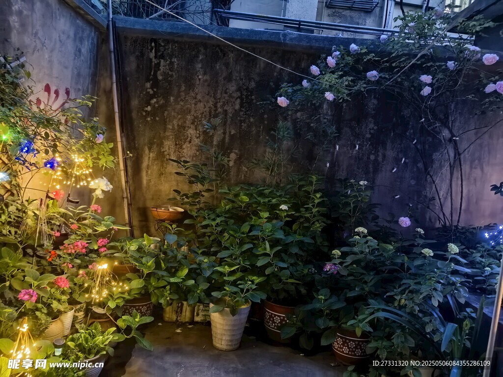 温馨小院绿植灯光景致