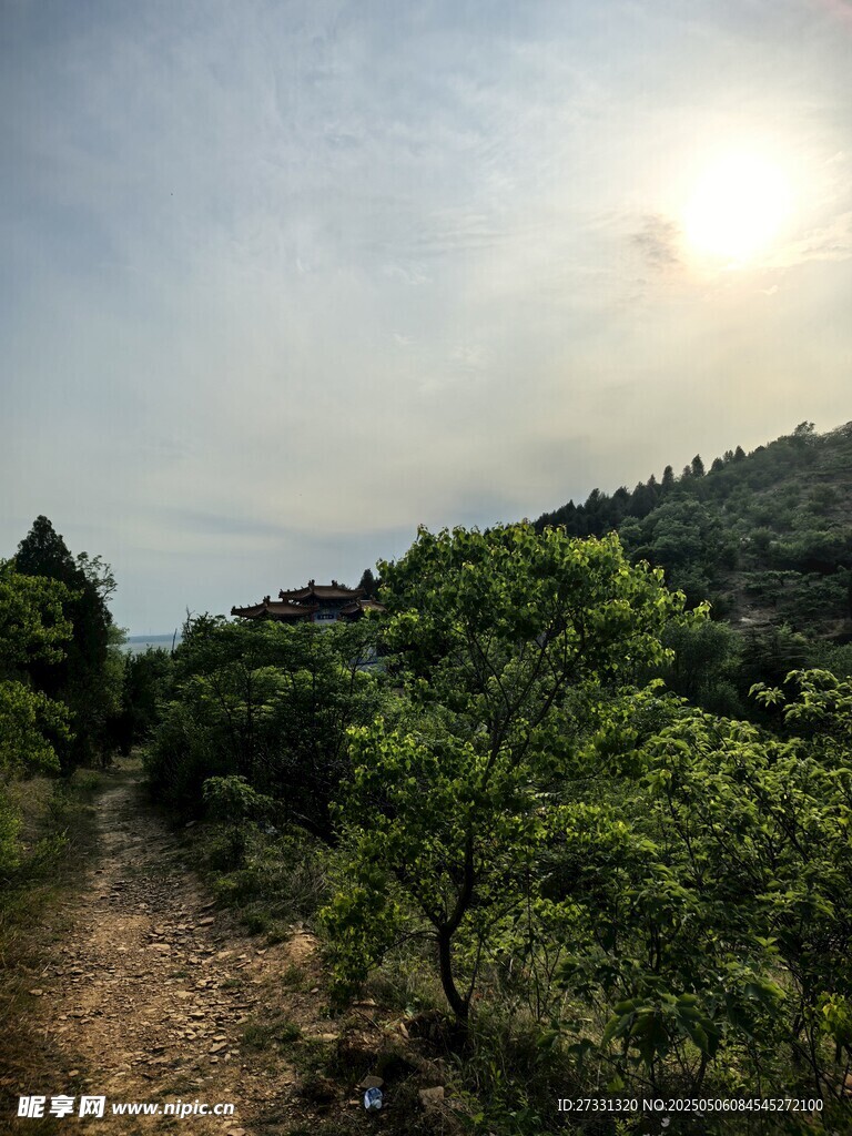 山间小道旁的繁茂绿植