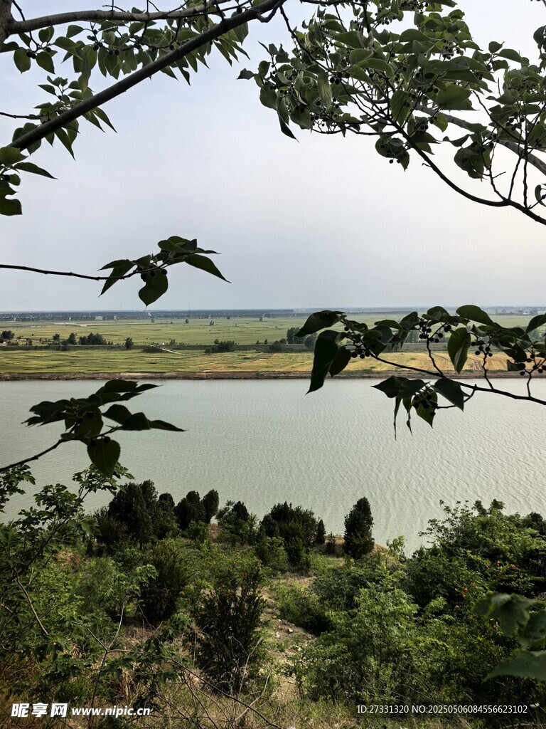 淮河