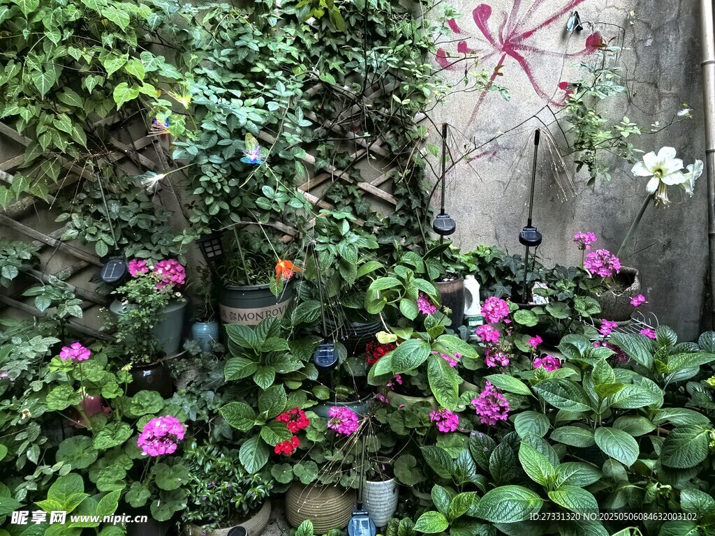 庭院角落的缤纷花卉景观