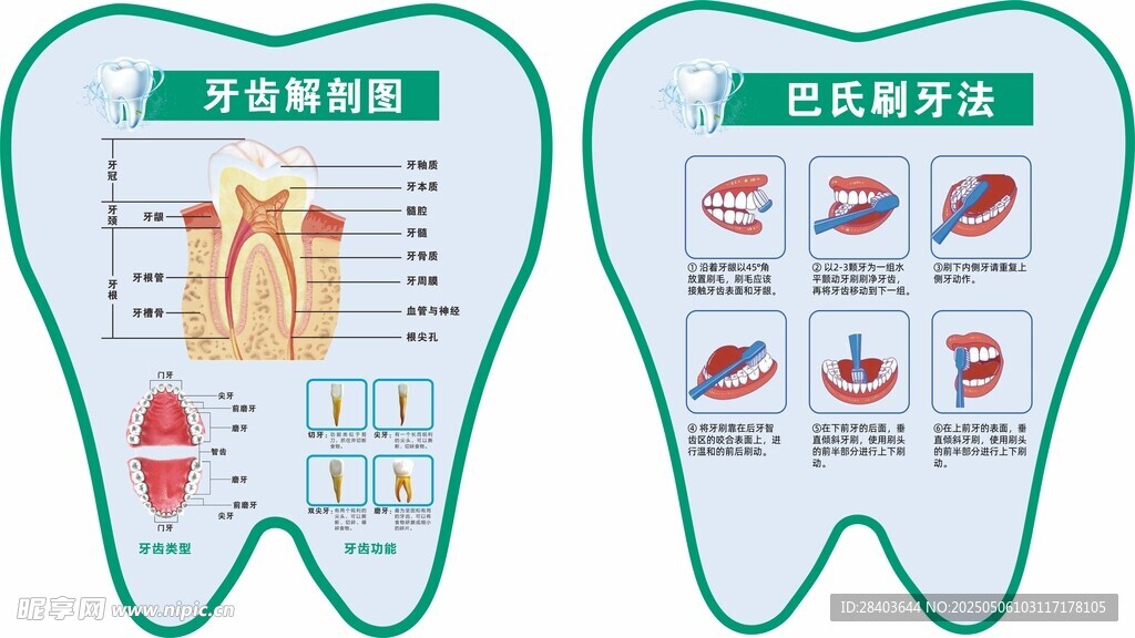 口腔科 牙科