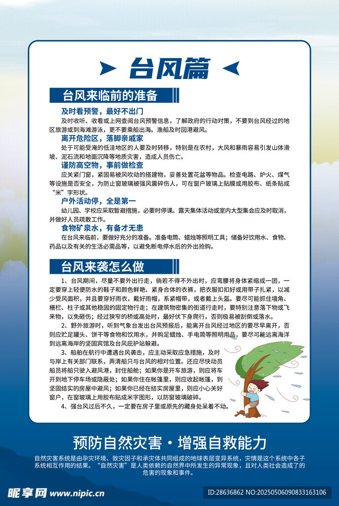 台风防御指南宣传页