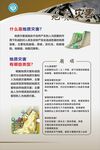 预防自然灾害知识宣传