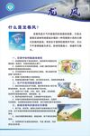 预防自然灾害知识宣传