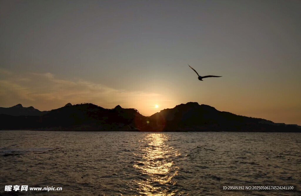 夕阳下飞鸟掠过平静海面