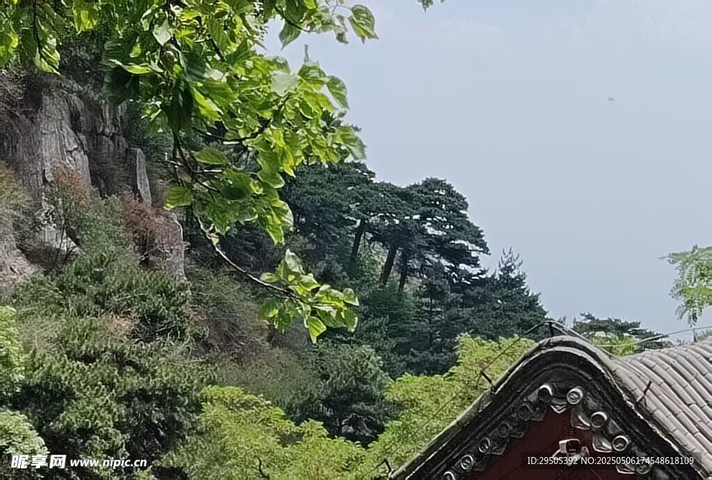 山林间的中式屋顶景致