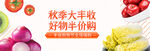 秋季丰收季 新鲜平价蔬果