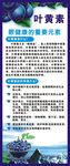 叶黄素