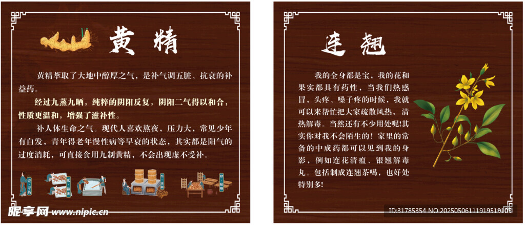 黄精 连翘