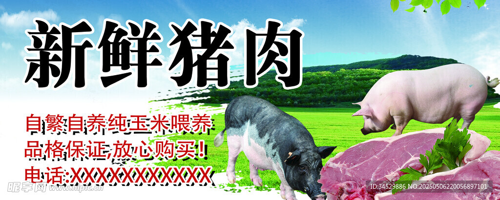 新鲜猪肉