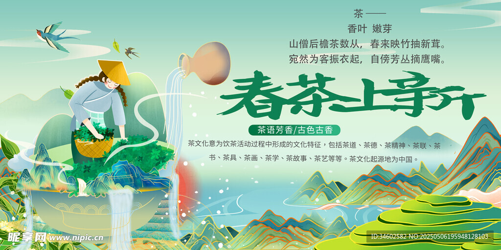 春茶上市 